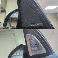BMW X5 G05 SPEAKER AMBIENT LIGHTING UPGRADE (INC.FITTING) (BOWERS & WILKINS)
