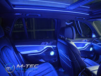 BMW X5 G05 DOOR PANEL AMBIENT LIGHTING STRIP UPGRADE (INC.FITTING)